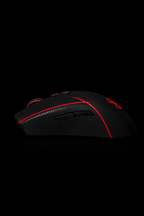 Brand Of Sacrifice Gaming Mouse